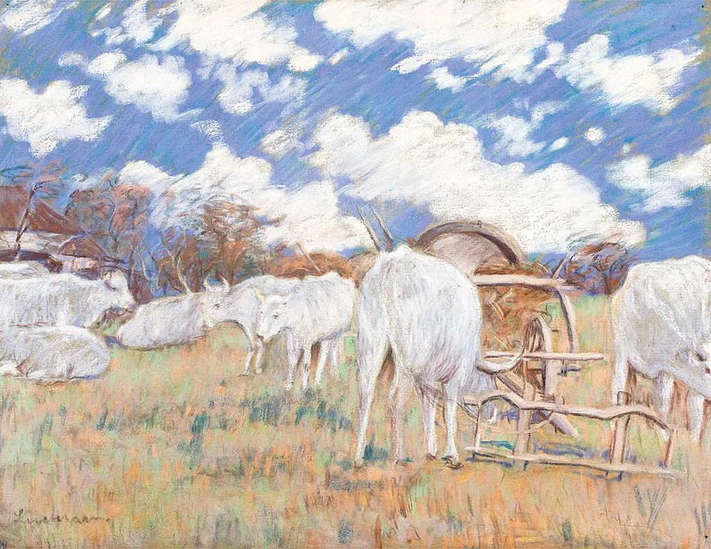 Mucche al pascolo